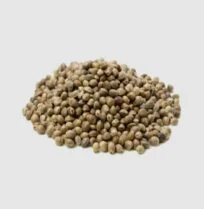 hemp seeds for sale