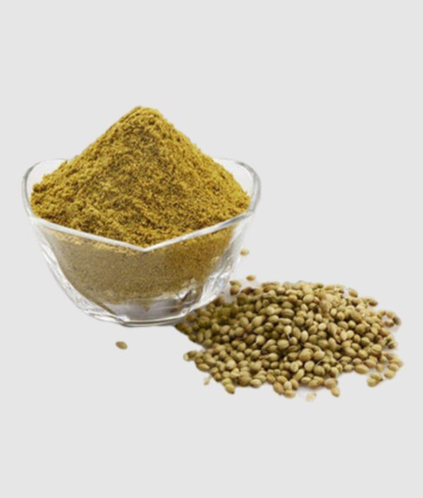 wholesale coriander powder in bulk