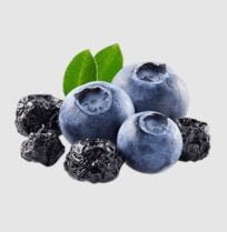 wholesale dried blueberries for sale