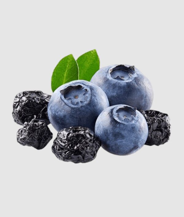 wholesale dried blueberries for sale